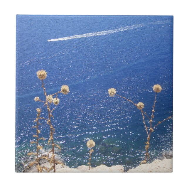 Keramiska plattor för grekisk blåhavsfisk kakelplatta (Framsidan)