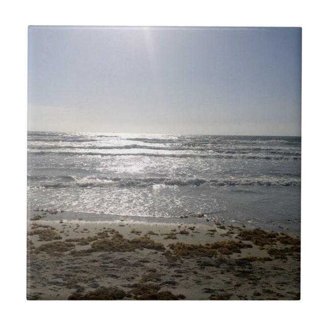 Keramiska plattor för kakaobaserad persilja kakelplatta (Framsidan)