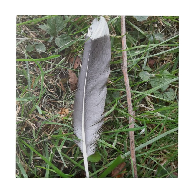 Keramiska plattor för ludd kakelplatta (Framsidan)