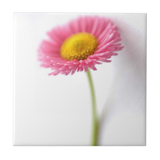 Keramiska plattor för rosa Daisy Kakelplatta (Framsidan)