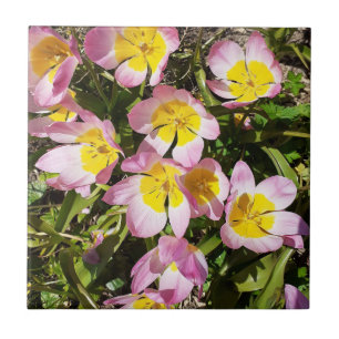 Keramiska plattor för rosa och Gula blommor Kakelplatta