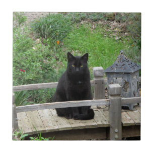 Keramiska plattor för svart kattbron kakelplatta