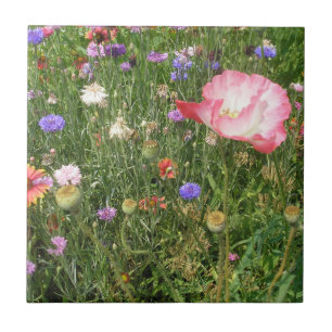 Keramiska plattor för vild Flowers Kakelplatta