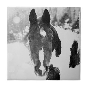Keramiska plattor för Winter Horse B&W Kakelplatta
