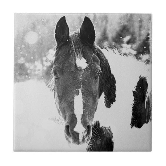 Keramiska plattor för Winter Horse B&W Kakelplatta (Framsidan)