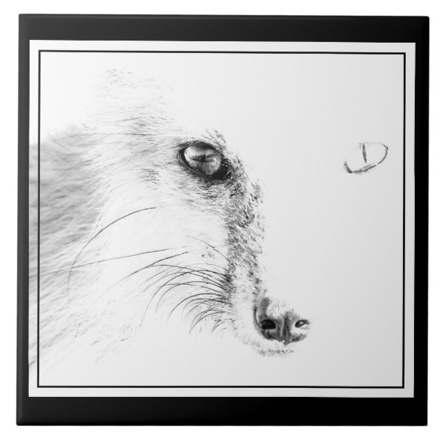 Keramiska plattor från Fox Ansikte Kakelplatta (Framsidan)