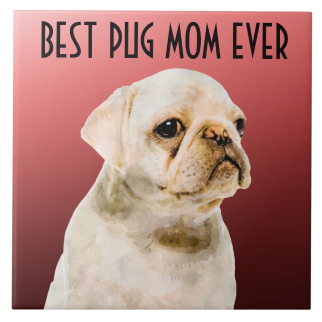 Keramiska plattor i Pug Mamma Kakelplatta (Framsidan)