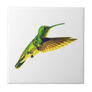 Keramiska plattor med hummingbird design kakelplatta