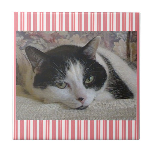 Keramiska plattor, remsade kakelplatta (Framsidan)