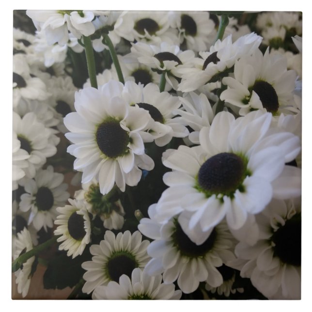 Keramiska plattor - Svartvit Daisy Kakelplatta (Framsidan)