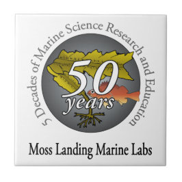 Keramiskt belägga med tegel (4,25" x 4,25"): kakelplatta