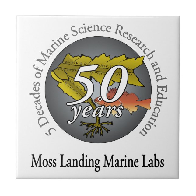 Keramiskt belägga med tegel (4,25" x 4,25"): kakelplatta (Framsidan)