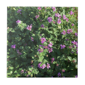 Keramiskt belägga med tegel (4,25" x 4,25") kakelplatta