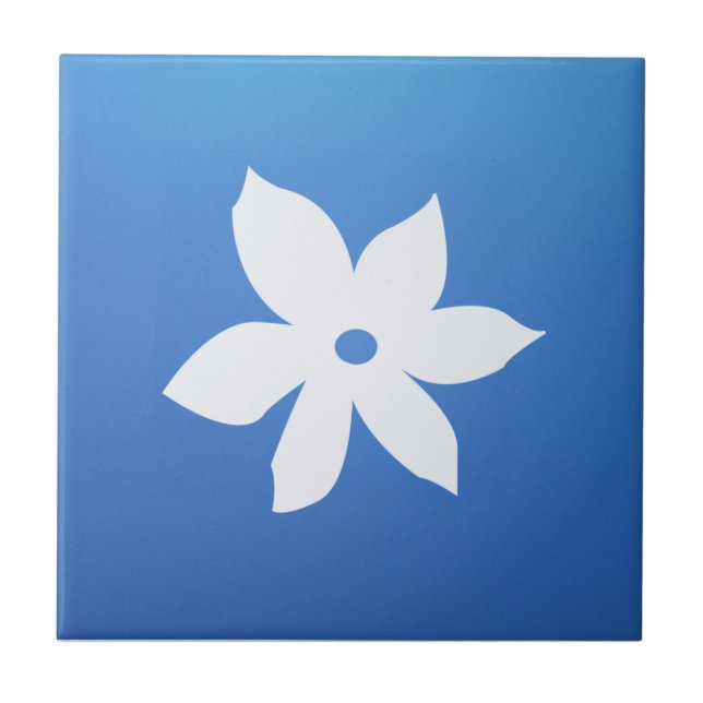 Keramiskt belägga med tegel kakelplatta (Framsidan)