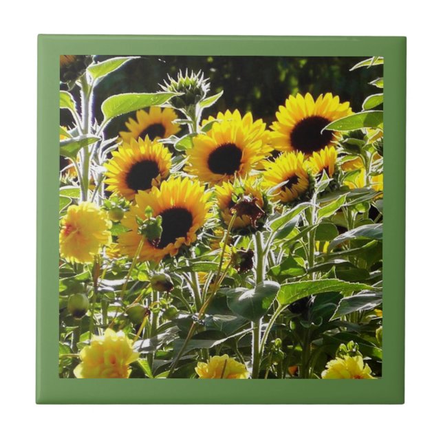 Keramiskt belägga med tegel kan användas som kakelplatta (Framsidan)