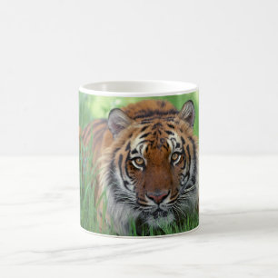Keramiskt kaffe Mugg-Tiger Kaffemugg