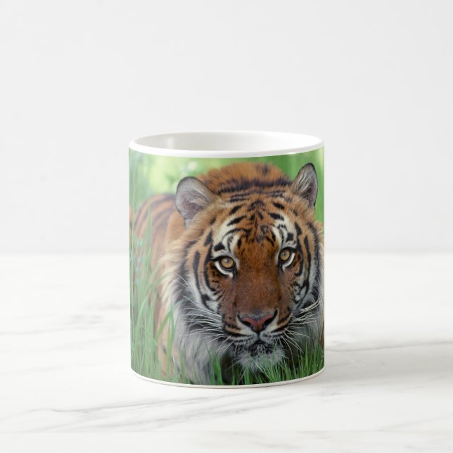 Keramiskt kaffe Mugg-Tiger Kaffemugg (Center)