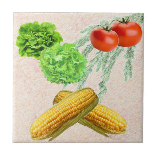 Keramiskt kök belägger med tegel kakelplatta