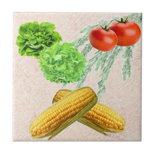 Keramiskt kök belägger med tegel kakelplatta (Framsidan)