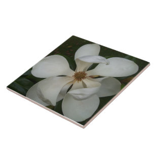 Keramiskt plattor - Blommarna Sydmagnolia II Kakelplatta