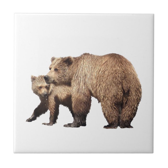 Keramiskt plattor från grizzly björn & unge kakelplatta (Framsidan)