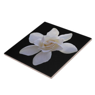 Keramiskt plattor - Gardenia på svart Kakelplatta