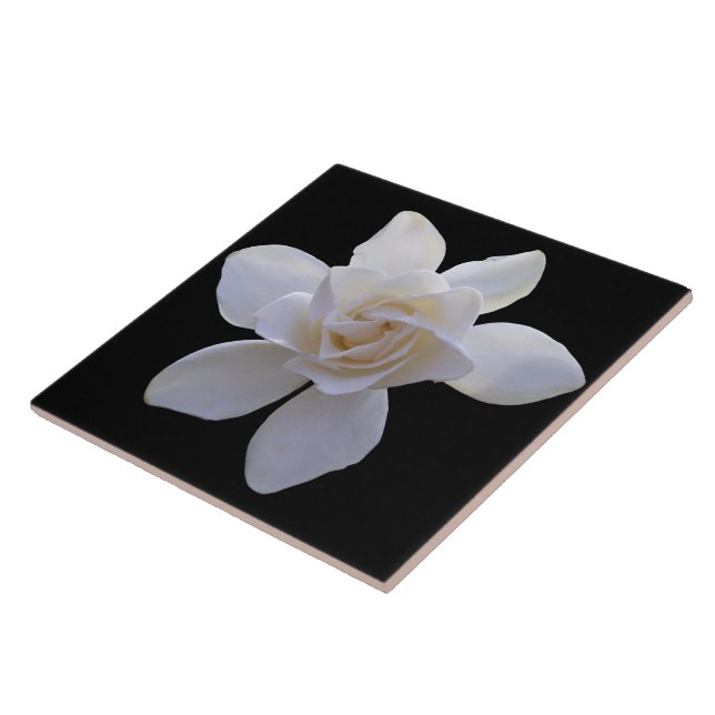 Keramiskt plattor - Gardenia på svart Kakelplatta (Sidan)