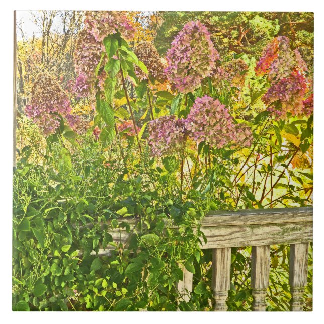 keramiskt plattor /"HYDRANGEAS AT WOODEN FENCE" Kakelplatta (Framsidan)