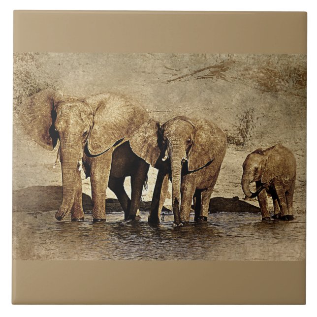 Keramiskt plattor kakelplatta (Framsidan)