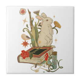 Keramiskt plattor kakelplatta