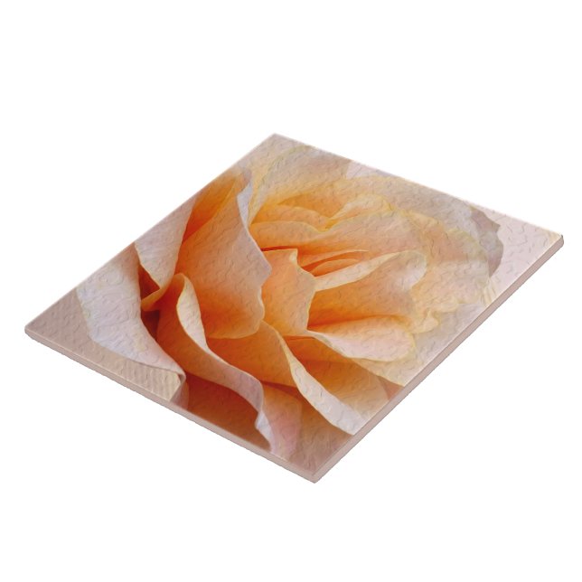 Keramiskt plattor kakelplatta (Sidan)