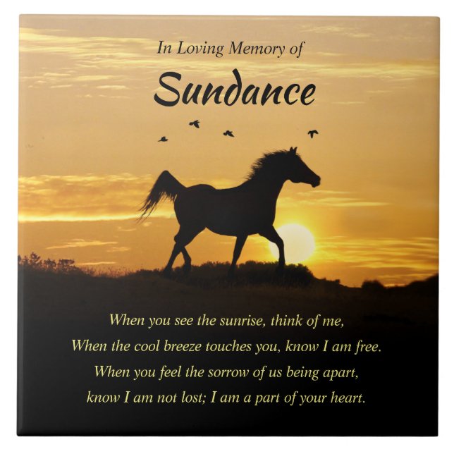 Keramiskt plattor kakelplatta (Framsidan)