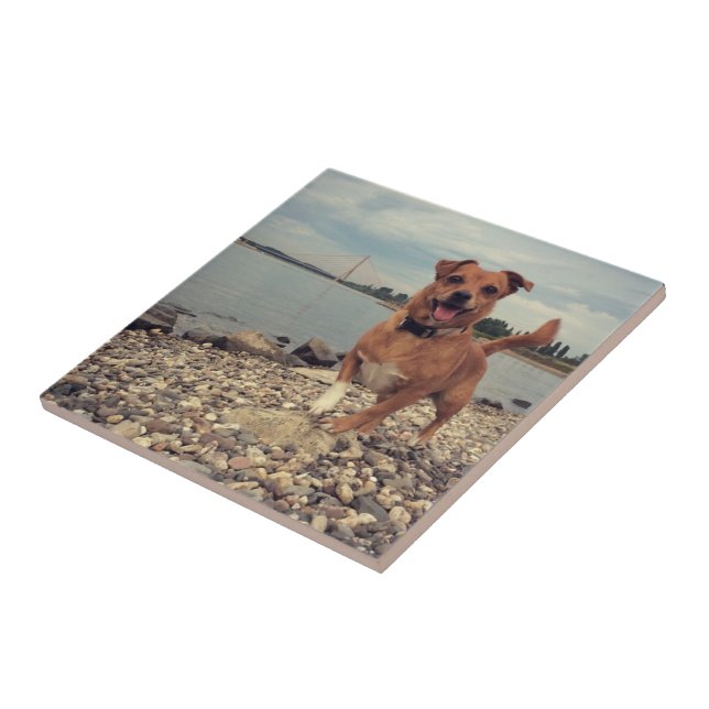 Keramiskt plattor med kvadratisk Bilder Kakelplatta (Sidan)