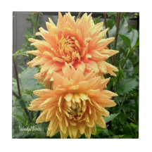 Keramiskt plattor med orange-dammar med regn-dropp