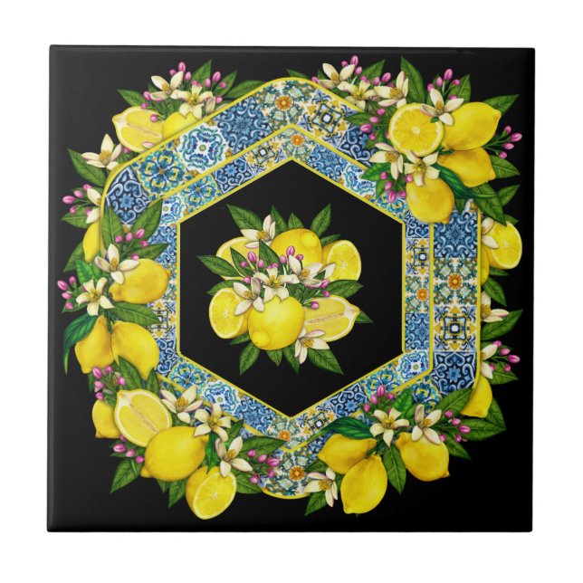 Keramiskt plattor Mönster 8, reviderad vid Medelha Kakelplatta (Framsidan)