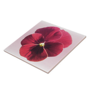 Keramiskt plattor - Mörk Red Pansy Kakelplatta