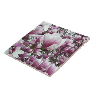 Keramiskt plattor - Saucer Magnolia Kakelplatta