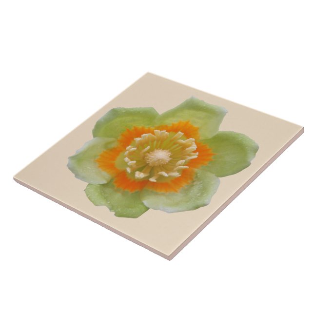 Keramiskt plattor - Tulip Poplar Tulip på Cream Kakelplatta (Sidan)