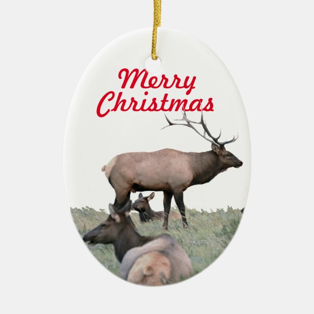 Keramiskt prydnadsföremål av älk julgransprydnad keramik (Framsidan)