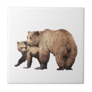 Keramiskt Tile of grizzly björn & unge Kakelplatta