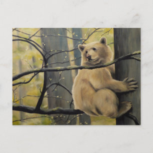 Kermode Bear Art-vykort Vykort