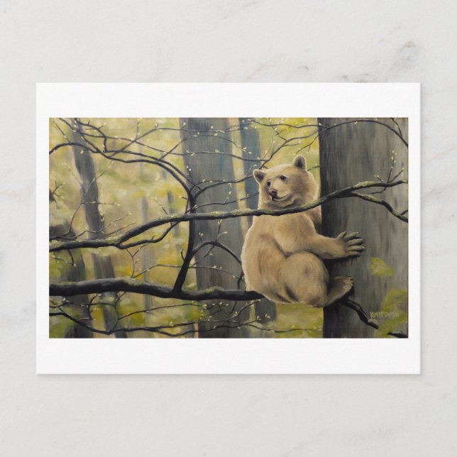 Kermode Bear Art-vykort Vykort (Framsida)