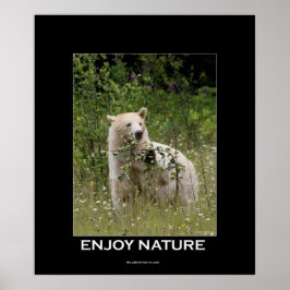 Kermode Bear Motivational Poster