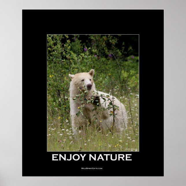 Kermode Bear Motivational Poster (Framsidan)