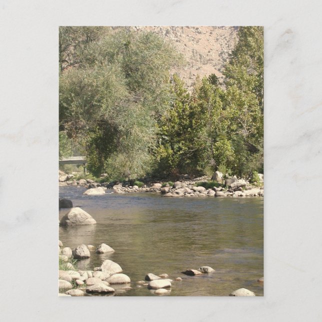 Kern River Postcard! Vykort (Framsida)