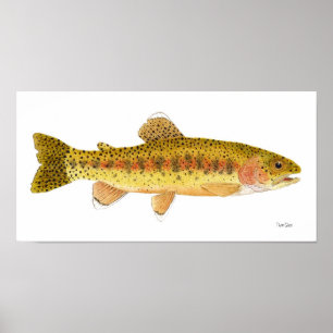 Kern River Rainbow Trout Art Poster