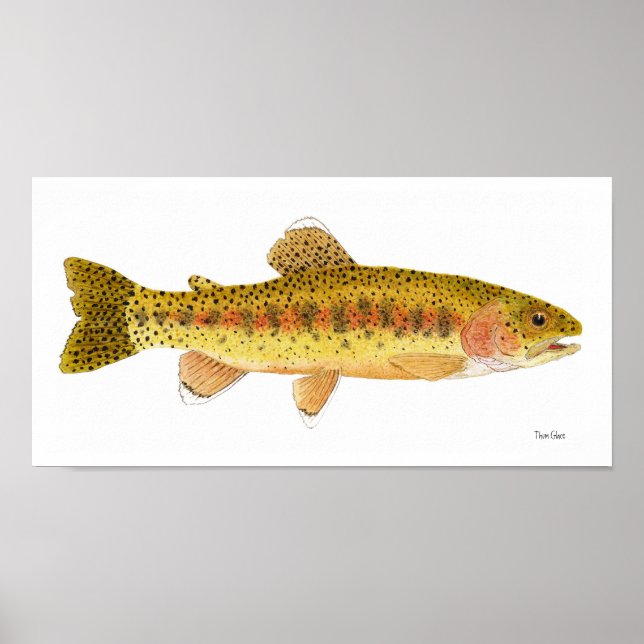 Kern River Rainbow Trout Art Poster (Framsidan)