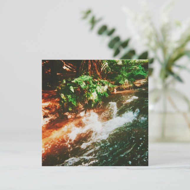 Kerosene Bäck Hett Vår (Stående Fram)