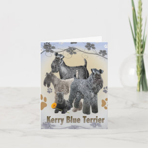 Kerry Blue Terrier-hälsningskort Kort