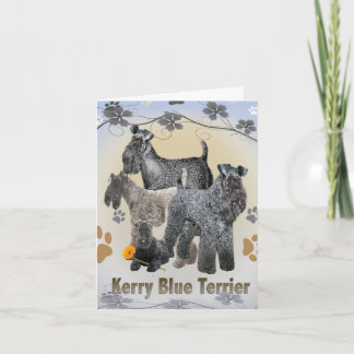 Kerry Blue Terrier-hälsningskort Kort